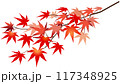 紅葉の枝(右)　透過イラスト素材 117348925