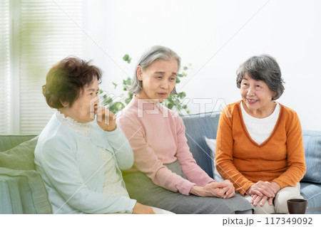 リビングでおしゃべりをするシニア女性 117349092
