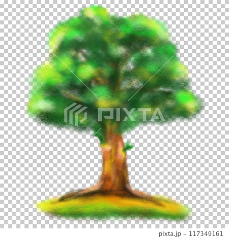 Cartoon tree in crayon style isolated illustration 117349161
