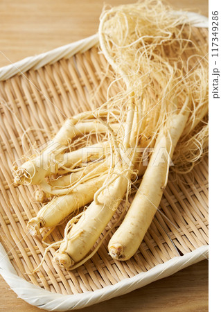 福島県産朝鮮人参 福島県産朝鮮人参 117349286