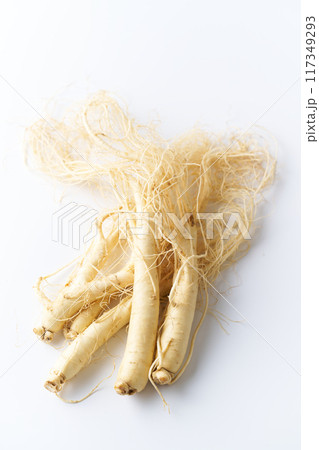 福島県産朝鮮人参 117349293