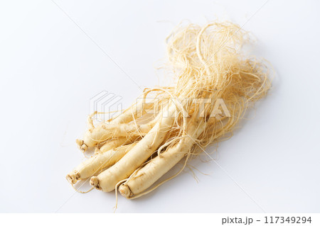 福島県産朝鮮人参 福島県産朝鮮人参 117349294