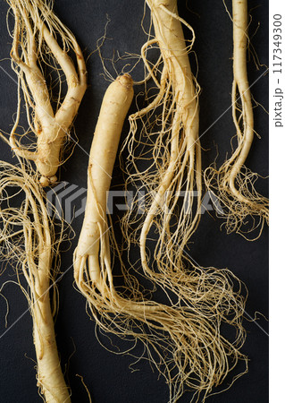 福島県産朝鮮人参 福島県産朝鮮人参 117349300