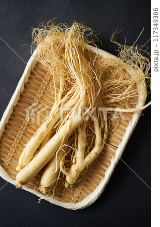 福島県産朝鮮人参 117349306