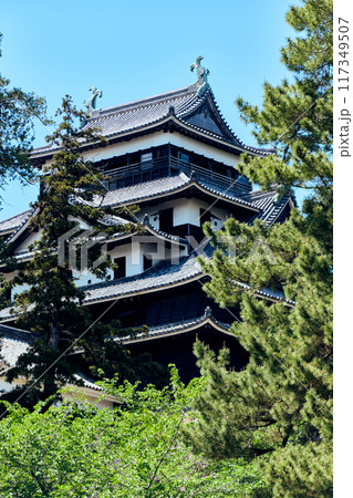 松江城 117349507