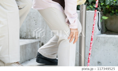 階段を降りるシニア女性　手元　膝関節症 117349525