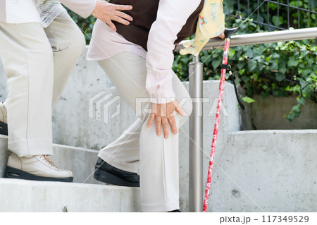 階段を降りるシニア女性　手元　膝関節症 117349529