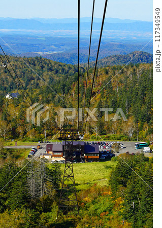 北海道　旭岳　紅葉 117349549