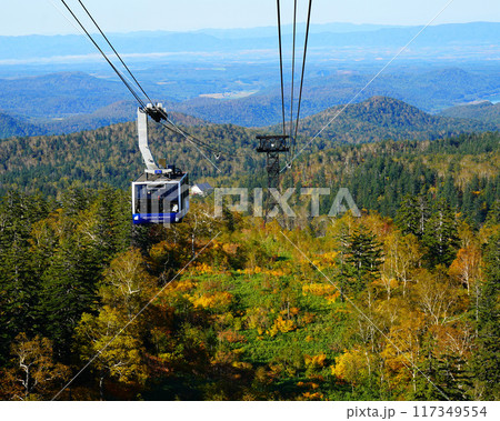北海道　旭岳　紅葉 117349554