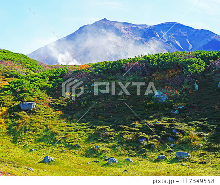 北海道 旭岳 紅葉 北海道 旭岳 紅葉 117349558