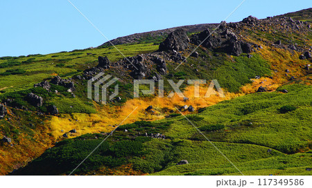 北海道　旭岳　紅葉 117349586