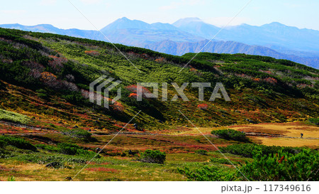 北海道 旭岳 紅葉 北海道 旭岳 紅葉 117349616