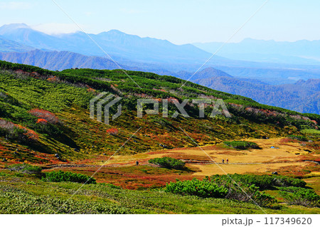 北海道　旭岳　紅葉 117349620
