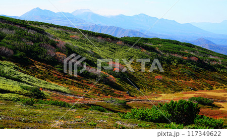 北海道　旭岳　紅葉 117349622