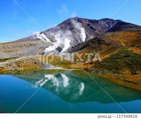 北海道　旭岳　紅葉 117349626