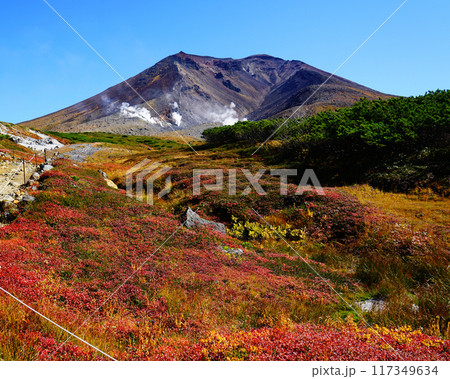 北海道 旭岳 紅葉 北海道 旭岳 紅葉 117349634