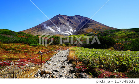 北海道 旭岳 紅葉 北海道 旭岳 紅葉 117349635