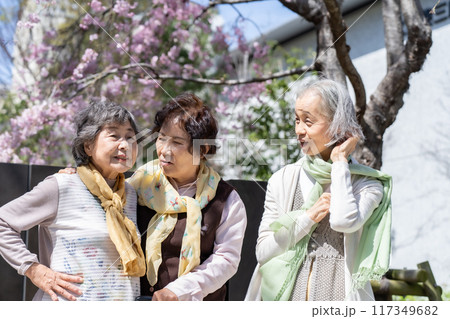 シニア女性　仲良し　3人 117349682