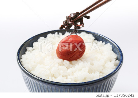 梅干し(紫蘇漬け)とごはん 117350242