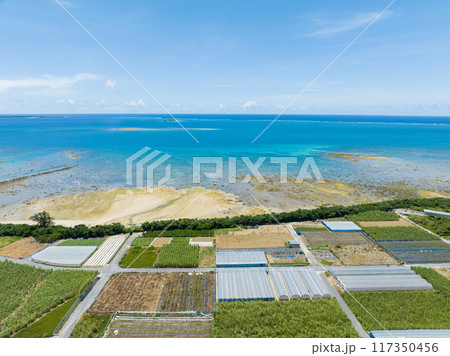 沖縄の海岸沿いの畑 沖縄の海岸沿いの畑 117350456