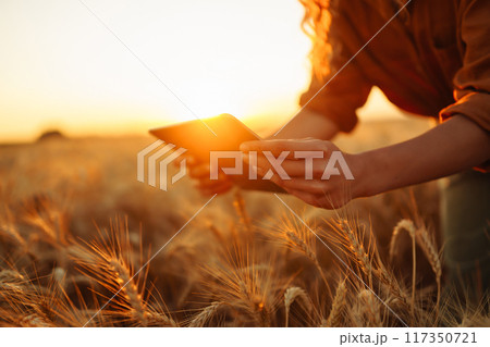 Farm owner with tablet in her hands in wheat field. Smart farming and precision agriculture. Farm owner with tablet in her hands in wheat field. Smart farming and precision agriculture. 117350721