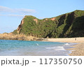 青い海 117350750