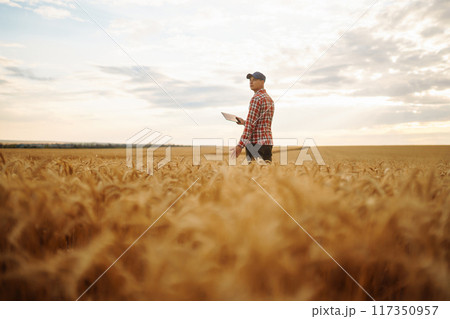 Smart farm. Farmer with tablet in the field. Agriculture, gardening or ecology concept. 117350957