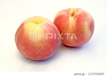 桃（なつっこ） 117350997