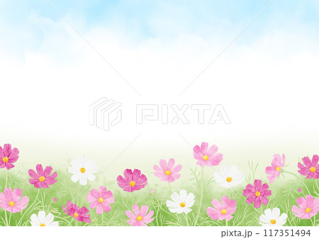 コスモスの花畑と青空の風景 水彩タッチ コスモスの花畑と青空の風景 水彩タッチ 117351494
