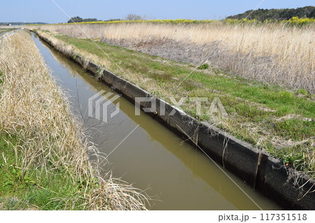 農業用水路兼排水路 茨城県 農業用水路兼排水路 茨城県 117351518