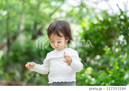 タンポポの綿毛を飛ばす女の子 タンポポの綿毛を飛ばす女の子 117351584