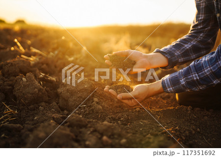 Hand of farmer collect soil, checking soil health before growth seed of vegetable Harvesting concept 117351692