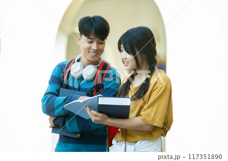Students smiling while studying together on campus 117351890