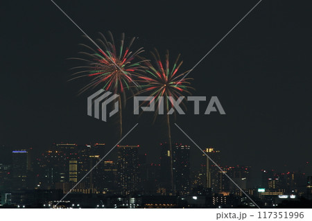 夏の夜空に咲く花火　十三花火　なにわ淀川花火大会2024 117351996