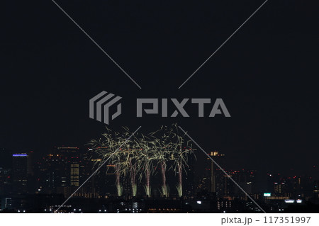 夏の夜空に咲く花火　十三花火　なにわ淀川花火大会2024 117351997
