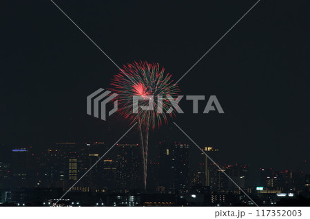 夏の夜空に咲く花火 十三花火 なにわ淀川花火大会2024 夏の夜空に咲く花火 十三花火 なにわ淀川花火大会2024 117352003