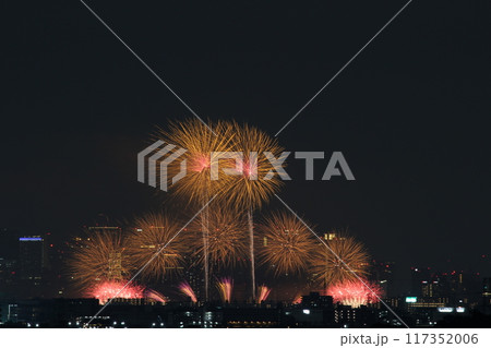 夏の夜空に咲く花火　十三花火　なにわ淀川花火大会2024 117352006