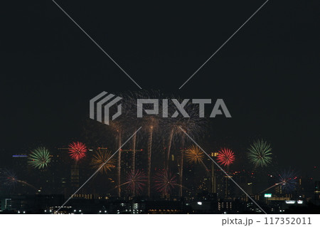 夏の夜空に咲く花火　十三花火　なにわ淀川花火大会2024 117352011