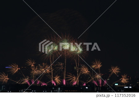 夏の夜空に咲く花火　十三花火　なにわ淀川花火大会2024 117352016