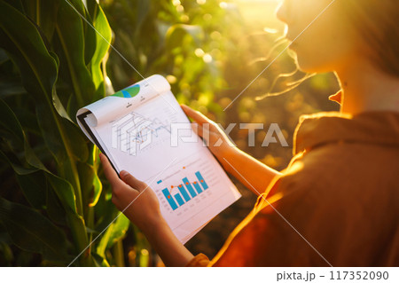 Business woman farmer stands in corn field with clipboard, examines corn on cob. Agriculture concept 117352090