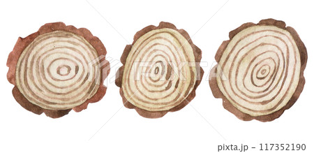 set of wood cuts. watercolor drawing set of wood cuts. watercolor drawing 117352190