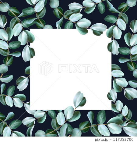 Realistic frame with eucalyptus branches. Watercolor hand drawn green plant isolated on transparent background. Christmas, winter, and wedding illustration. For designers, invitations, decoration, 117352700