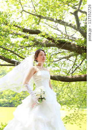 新緑の桜の木の下で美人な新婦様のウエディングドレス姿フォトウエディング新郎新婦ロケーション撮影 117352726