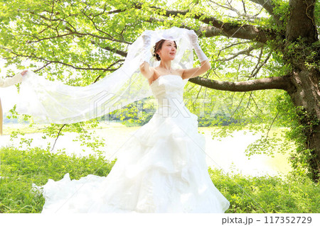 新緑の桜の木の下で美人な新婦様のウエディングドレス姿フォトウエディング新郎新婦ロケーション撮影 新緑の桜の木の下で美人な新婦様のウエディングドレス姿フォトウエディング新郎新婦ロケーション撮影 117352729