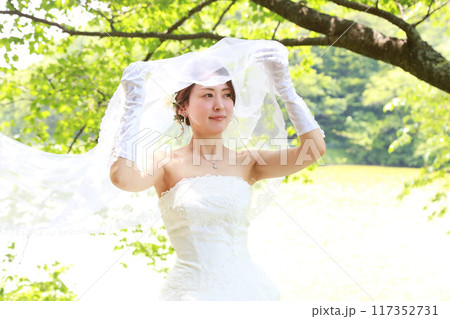 新緑の桜の木の下で美人な新婦様のウエディングドレス姿フォトウエディング新郎新婦ロケーション撮影 117352731