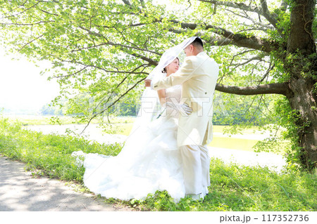 新緑の桜の木の下で美人な新婦様のウエディングドレス姿フォトウエディング新郎新婦ロケーション撮影 新緑の桜の木の下で美人な新婦様のウエディングドレス姿フォトウエディング新郎新婦ロケーション撮影 117352736