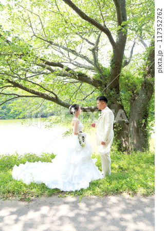 新緑の桜の木の下で美人な新婦様のウエディングドレス姿フォトウエディング新郎新婦ロケーション撮影 117352762