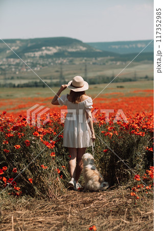 Field of poppies woman dog. Happy woman in a white dress and hat stand with her back through a blooming field of poppy with a white dog. Field of blooming poppies. 117352985