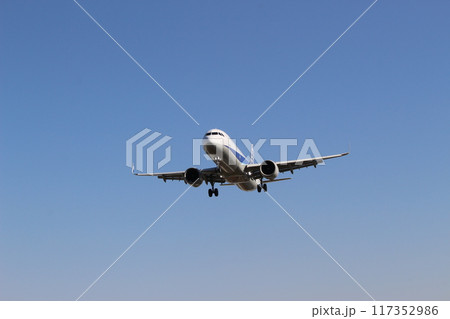 千里川土手　大阪国際空港　着陸する飛行機 117352986