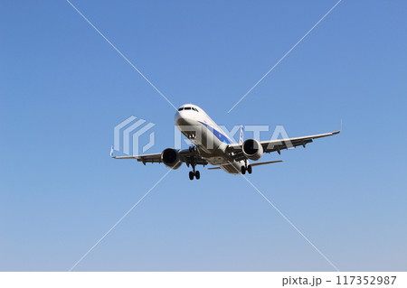 千里川土手　大阪国際空港　着陸する飛行機 117352987